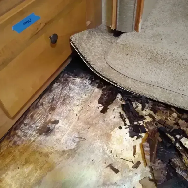 Best Wood Floor Water Damage Service in Blanco, TX